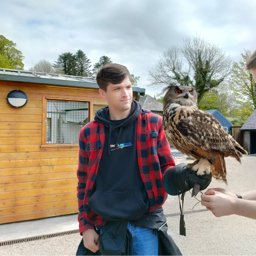 Falconry School